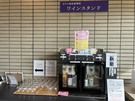 ソムリエおすすめ、ワインスタンドの新しいワイン🍷