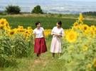 8/12ＯＰＥＮ夏の絶景！月山高原に広がる「ひまわり畑」へ♪