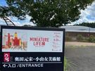 遊び心を思い出せる展示