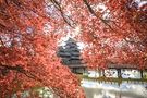 秋の紅葉巡り in　NAGANO