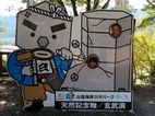 水曜「洞」でしょう