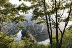 【体験プログラム】朝のお散歩会🌞