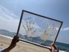 新　体験プログラム「手形アート」