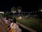 ​ 焚き火カフェで癒しの夜時間