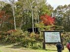 笹ヶ峰歩き旅と現在の笹ヶ峰の紅葉について