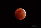 ３月３日は皆既月食🌕