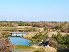 広大な園地内の自然に癒され、季節の植物と出会うお散歩会