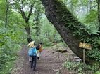 笹ヶ峰歩き旅【8kmコース】へ行って来ました