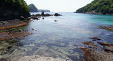鍋田浜（なべたはま）