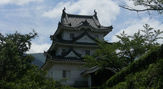 宇和島城