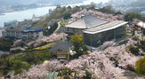 大宝山　権現院　千光寺