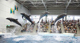 いおワールド　かごしま水族館