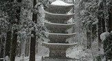 国宝 「羽黒山五重塔」