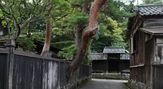 羽黒山宿坊街