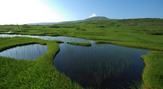 月山8合目(弥陀ヶ原)