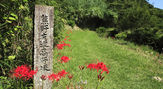 熊野古道「高野坂」