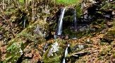 たまだれの滝