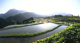 丸山千枚田