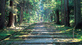 平泉寺白山神社