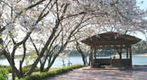 初立池公園