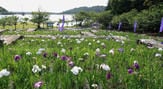 初立池公園