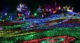 東京ドイツ村