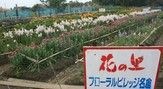 花の里フローラルビレッジ 名倉（花摘み）