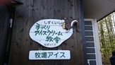 松ぼっくり