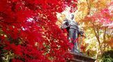 東郷公園　秩父御嶽神社　紅葉