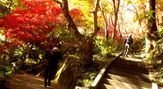 東郷公園　秩父御嶽神社　紅葉