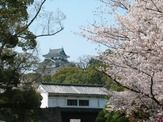 和歌山城（和歌山市）