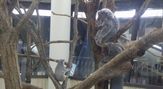 こども動物自然公園