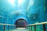 滋賀県立琵琶湖博物館