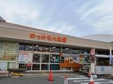 めっけもん広場(紀の川市)
