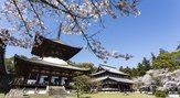 根来寺（岩出市）