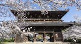 根来寺（岩出市）