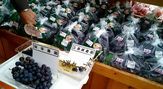 道の駅　果樹公園あしがくぼ