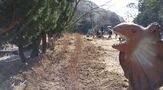 加太森林公園（和歌山市）