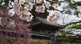 大乗寺(応挙寺)