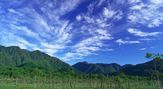 ラムサール条約登録湿地「戦場ヶ原」