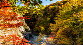 葛根田渓谷の紅葉