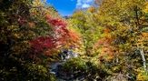 葛根田渓谷の紅葉