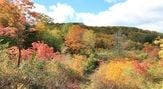 紅葉の八幡平アスピーテライン・樹海ライン