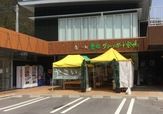 豊根グリーンポート宮嶋