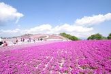 萩太郎山