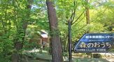 絵本美術館 森のおうち