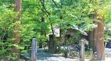 絵本美術館 森のおうち