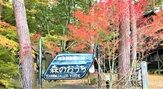 絵本美術館 森のおうち