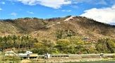 光城山【桜４月中下旬】