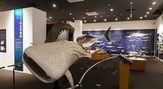 シャークミュージアム